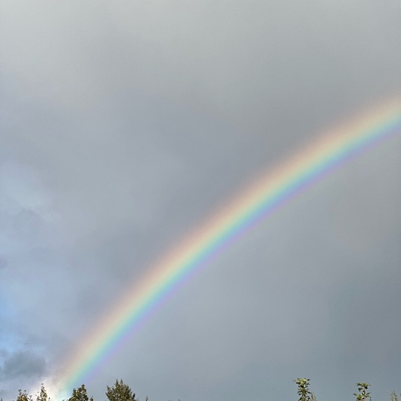 LIKE THIS TO SAVE ME! - Picture 9 of 16